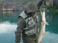 Pescuit la Stiuca - 2823814308911536257911413967310n.jpg